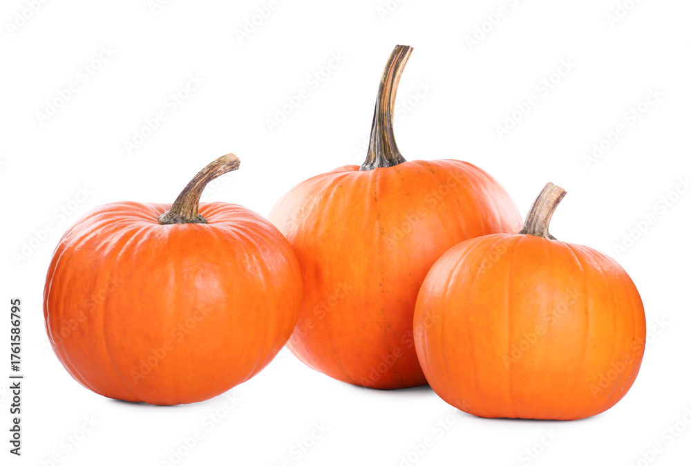 Obraz premium Different whole ripe pumpkins isolated on white