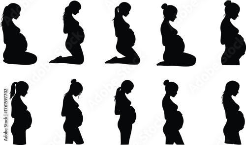 Silhouette of pregnant women in various poses showing maternity stages, motherhood journey, and expecting mothers vector illustration for healthcare designs