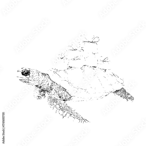 Stylized black and white drawing of a sea turtle with packages stacked on its back for a whimsical theme
