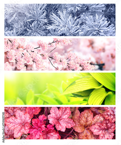 Set of horizontal nature banners. Four season of year. Each one features scene of nature, from the gentle snowfall of winter to the vibrant leaves of summer. Perfect for showcasing changing seasons