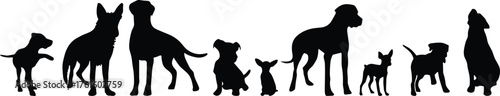 Silhouettes of various dog breeds in different poses and sizes, showcasing pet diversity, canine shapes, and breed identification reference