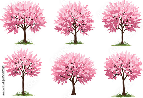 Set of Six Cherry Blossom Trees in Full Bloom with Green Grass Base for Spring, Nature, Botanical, and Floral Vector Illustration