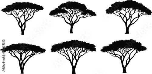 Set of six acacia tree silhouettes, flat top African trees with detailed branches and canopy, isolated on white background for design, illustration