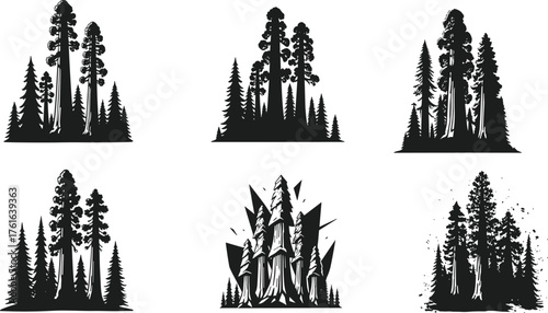 Set of six pine forest silhouette illustrations, black evergreen trees vector design, wild nature landscape clipart, conifer tree group shapes