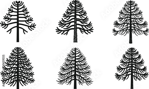 Silhouette collection of pine and fir tree designs, evergreen conifer forest illustration, black and white tree vector set for nature, landscape,  