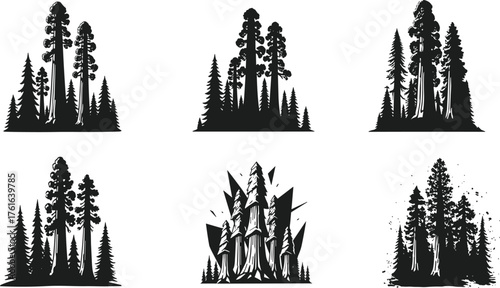 Vintage forest silhouette collection, pine tree and sequoia illustration set, black and white woodland landscape, nature logo design, adventure emblem, wilderness vector art print