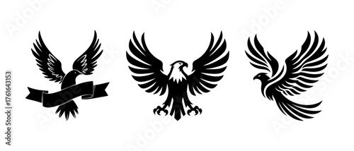 Majestic Eagle and Bird Silhouettes with Open Wings in Black Design
