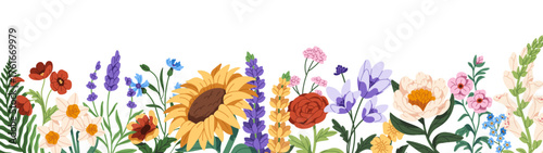 Design of floral border with different flowers and leaves. Template of frame from various wildflowers and blooming meadow plants. Field nature. Flat isolated vector illustration on white background
