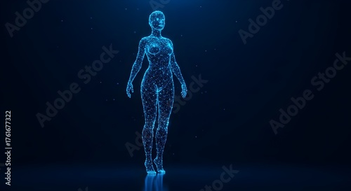 Abstract digital human body. Polygonal wireframe silhouette. background, A  futuristic man or woman model. 3D vector illustration, Low poly anatomy blue background.