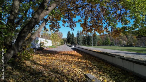 autumn in the park