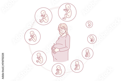 Pregnant woman touch belly ready for future maternity. Pregnancy embryo stages development. Baby childbirth phases by month. Fertility, ivf, motherhood concept. Vector illustration.