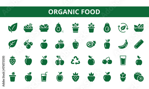 Collection of organic food icons isolated on white background