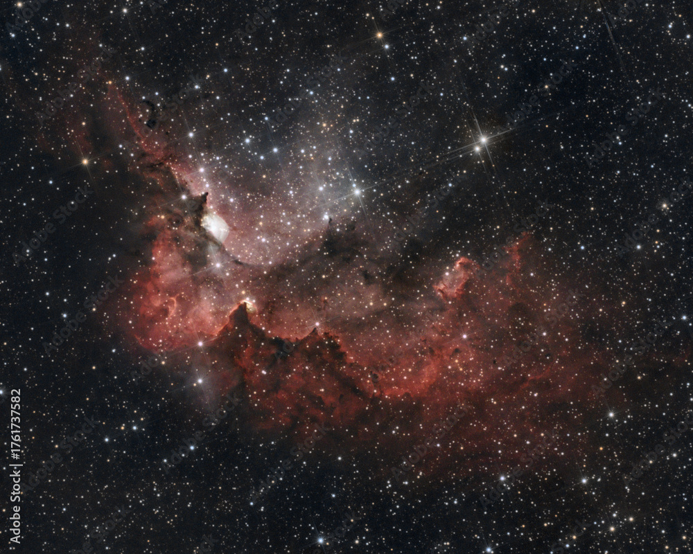 Obraz premium NGC7380 The wizard nebulae