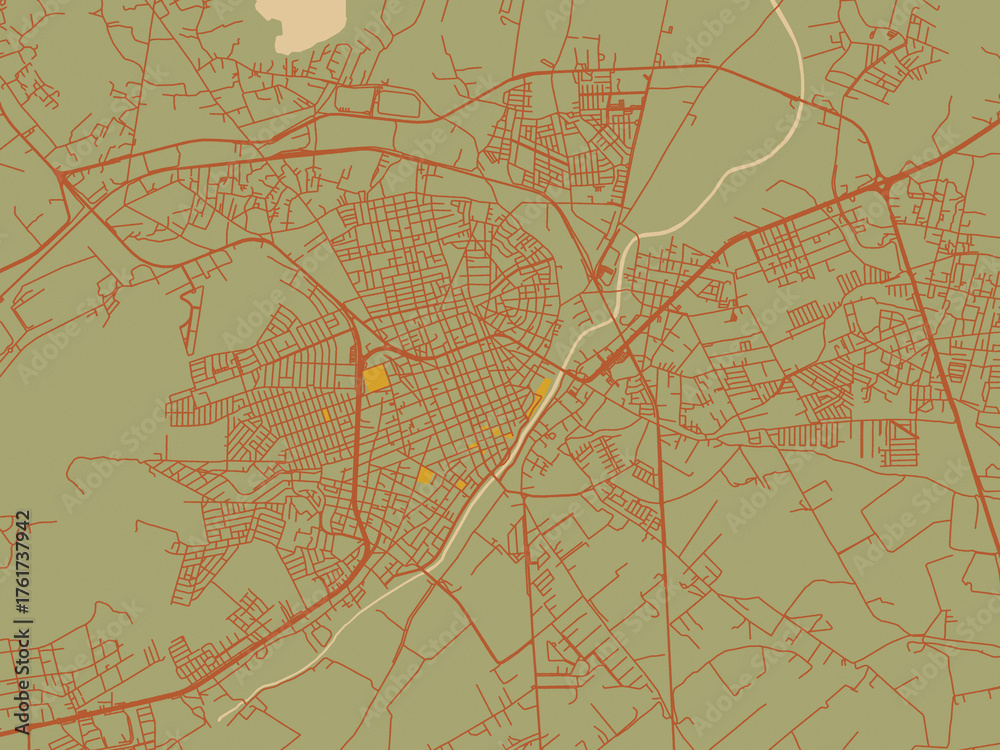 Obraz premium Graphic flat color map of Lagos de Moreno, Mexico in olive backdrop with warm rust street network and ochre blocks.