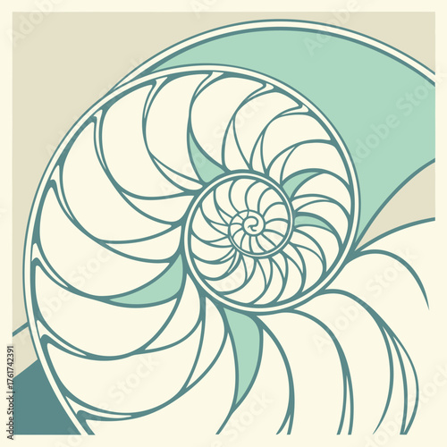 Stylized cross section of a nautilus shell showcasing its intricate spiral chambers and logarithmic growth pattern in a calming palette of cream teal and beige