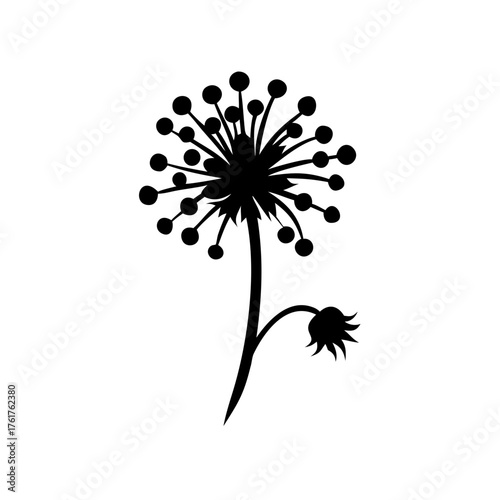Blowing in the wind: a dandelion's journey of freedom and natural beauty unfolds