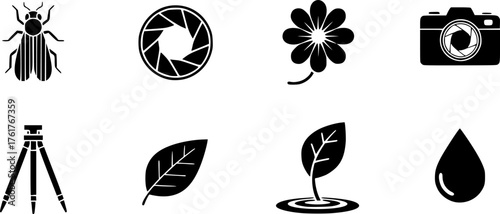 Minimalist icons set: insect, flower, camera lens, tripod, leaf, and water drop