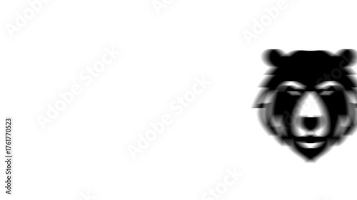 Animation set, bear head icon. Animations: transparency, zooms, transition top to down, transition left to right, slide up to down, slide left to right