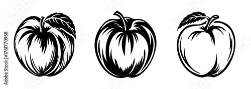 Three stylized sketchy peaches with leaves black and white art drawing simple fruit design