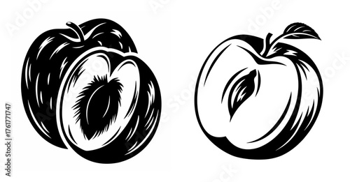 Artistic sketch of plums one whole and one halved showing juicy interior and seed