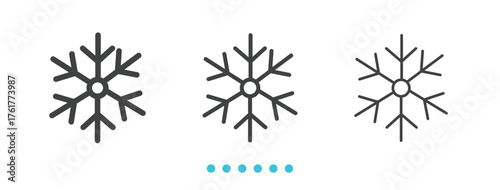 Snowflakes icon. Thin line icon vector