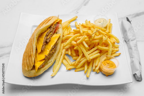 Sandwich americain sur une assiette avec des frites et sauces. Spécialité culinaire turque. Restauration rapide.	 Doner kebab