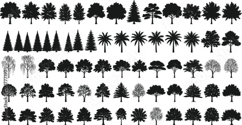 Tree silhouette collection, black tree icons, coniferous, deciduous, palm trees, weeping willows, forest design, botanical chart, nature illustration, landscape reference