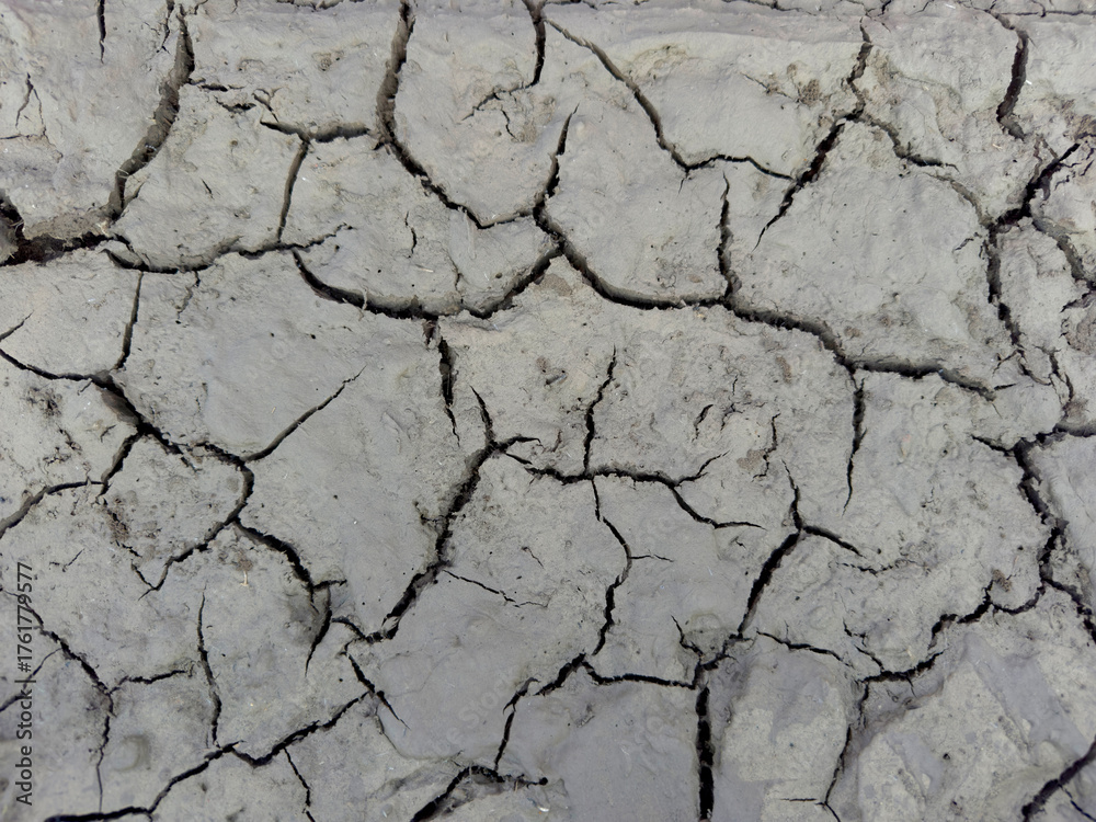 Obraz premium Dry, cracked earth, a symbol of drought and climate change