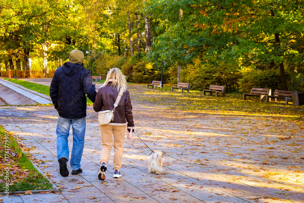 Fototapeta premium Happy couple walking dog through autumn park with golden leaves, enjoying weekend leisure, family togetherness, love and calm
