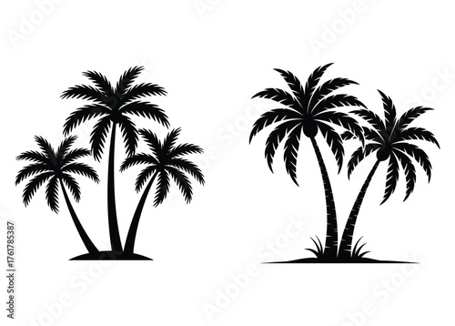 Silhouette of tropical palm trees against a white background in a stylized illustration