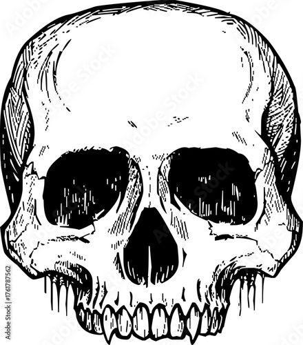 Black Human Skull Vector Illustration