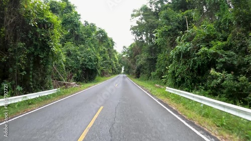 Khao Yai National Park Thailand