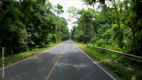 Khao Yai National Park Thailand