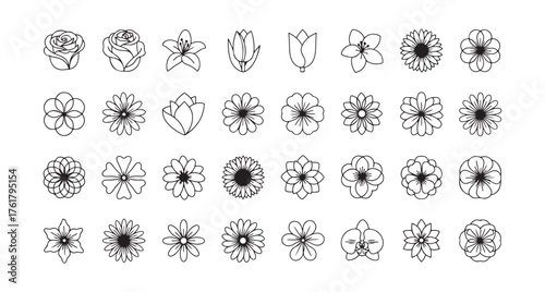 Flower symbols. Thin black line vector designs of flowers set against a white background