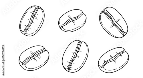 An illustration of six individual coffee beans showing their distinctive grooved shape.