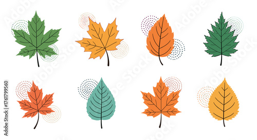 A collection of colorful autumn leaves with artistic textured details.