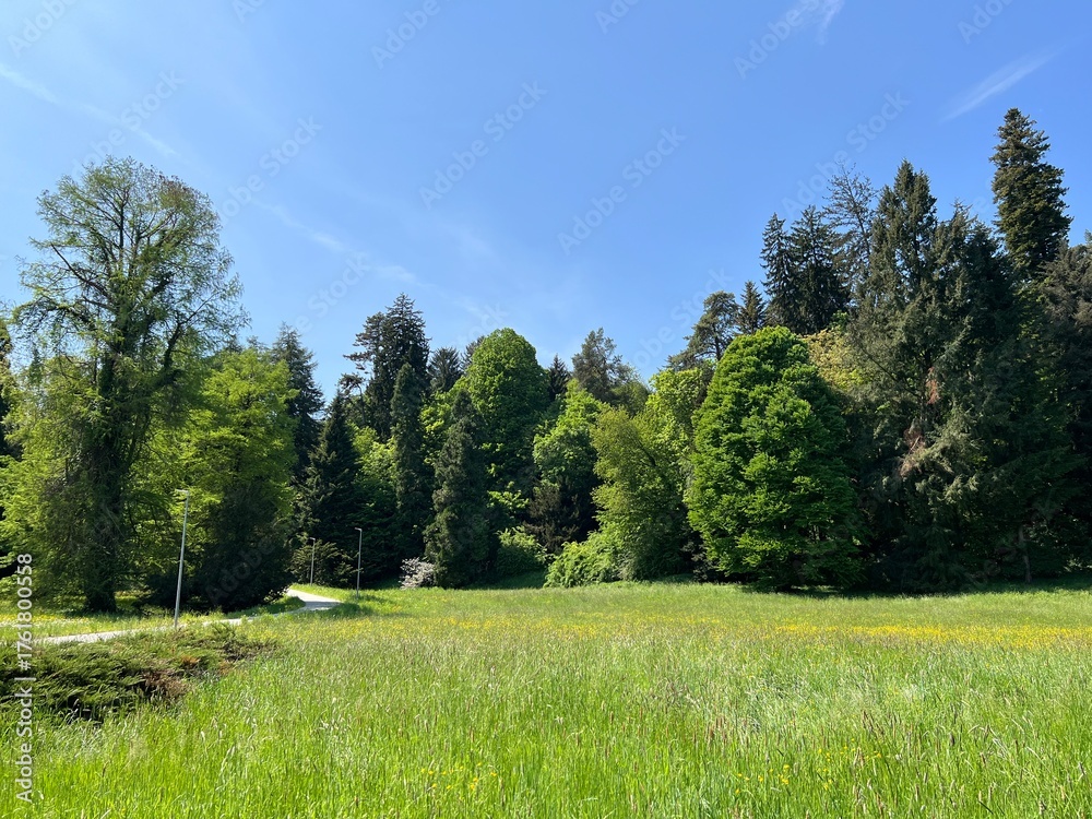 Obraz premium Horticultural monument arboretum Opeka (Croatia) - Das Arboretum Opeka oder Pflanzensammlung im Park von Schloss Opeka (Kroatien) - Hortikulturni spomenik arboretum Opeka (Vinica, Hrvatska)