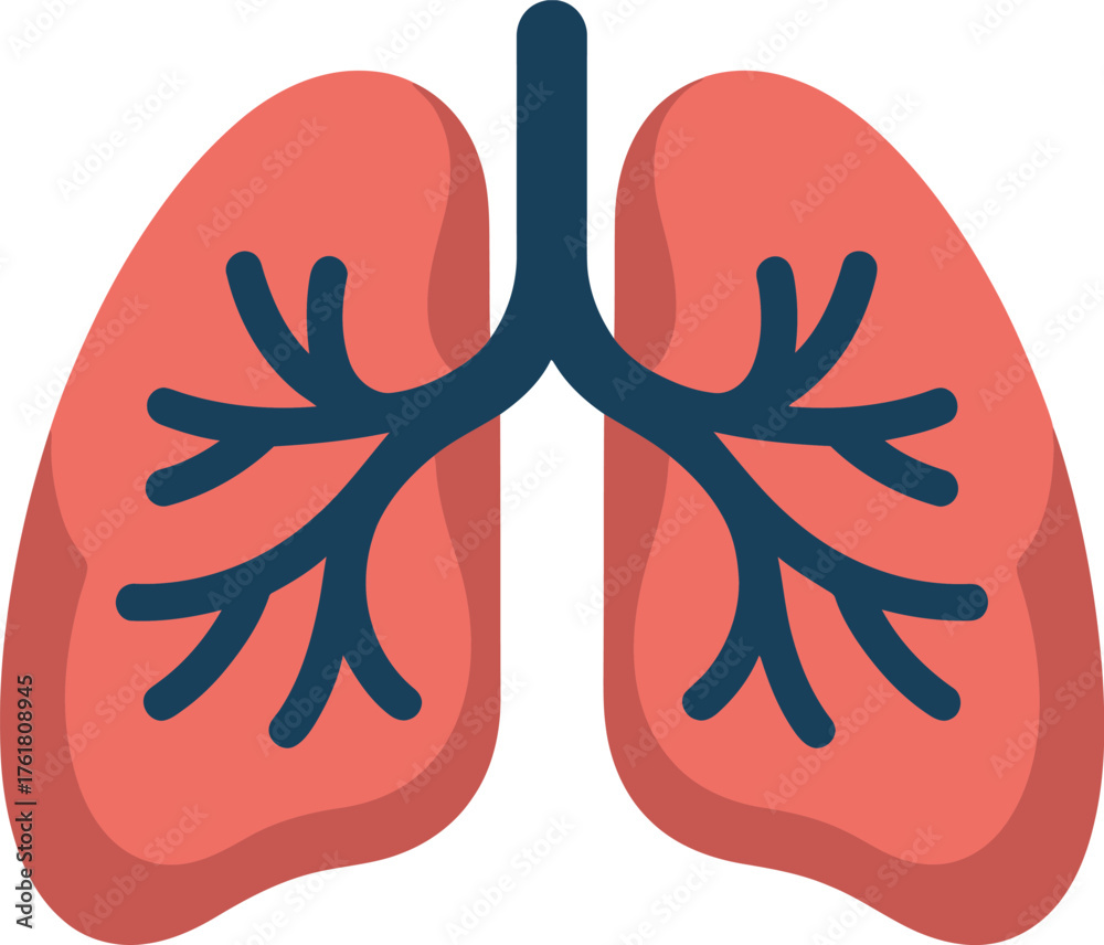 Fototapeta premium Anatomical Lungs Illustration Bronchial Tree Respiratory System Flat Graphic Design