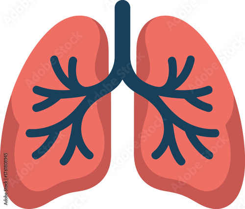 Anatomical Lungs Illustration Bronchial Tree Respiratory System Flat Graphic Design