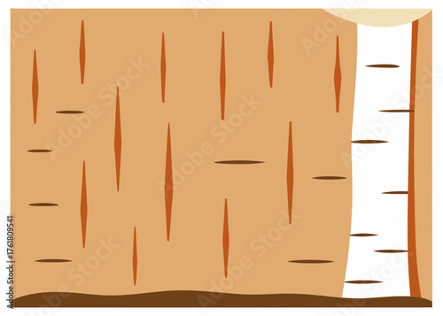 Smooth Birch Wallboard Design Illustration