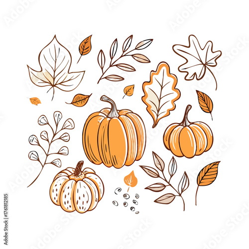 A collection of hand drawn illustrations featuring autumn and fall elements. The set includes various pumpkins in different shapes and outlines, along with different types of leaves such as maple leav