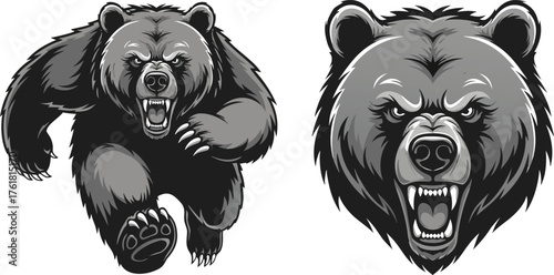 Ferocious bear illustration showing power and aggression