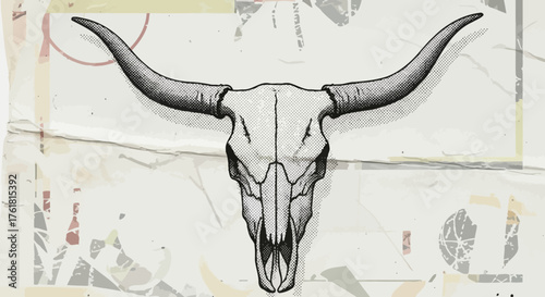 Vintage-style illustration of a longhorn skull with decorative background elements