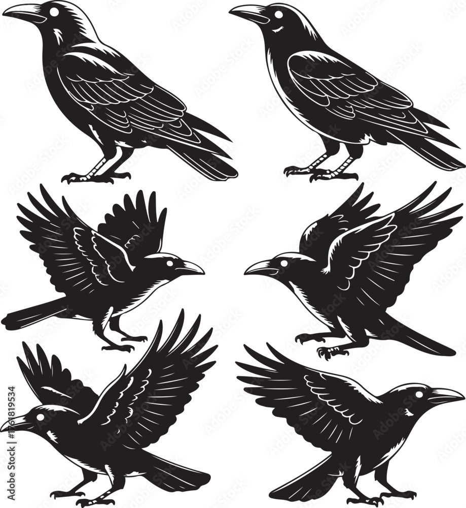 Naklejka premium Raven Poses Silhouette Set Vector Illustration Representing Mysterious Bird and Wildlife Art