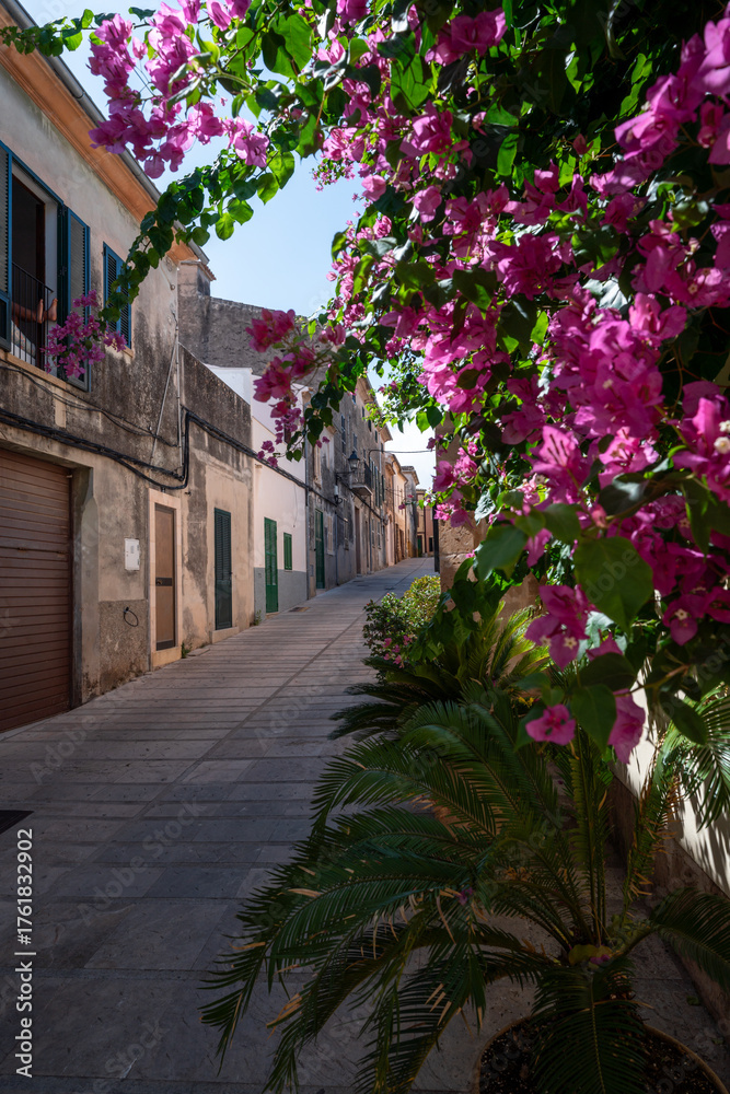 Fototapeta premium Romantische Gasse in einer Wohnsiedlung in der Altstadt von Alcudia auf Mallorca