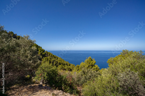 Wallpaper Mural Meerblick über bewaldete Hänge der Serra de Tramuntana auf Mallorca Torontodigital.ca