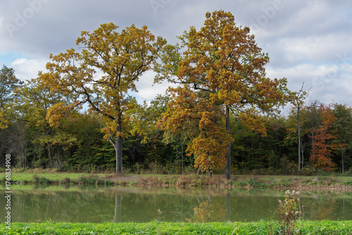 Fototapeta Naklejka Na Ścianę i Meble -  złota jesień polska - polish autumn
