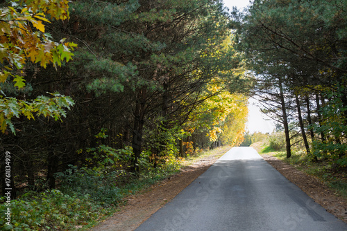 Fototapeta Naklejka Na Ścianę i Meble -  złota jesień polska - polish autumn