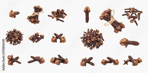 A set of clove spices in various arrangements on a white background.