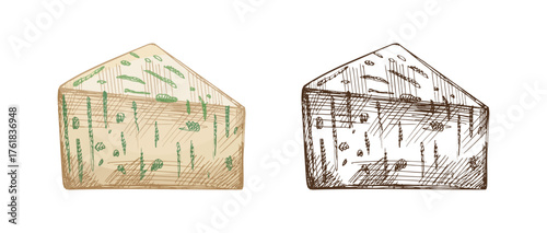 Hand drawn vintage sketch set of herb infused green cheese wedge in color and monochrome versions, detailed dairy food illustration, isolated vector design